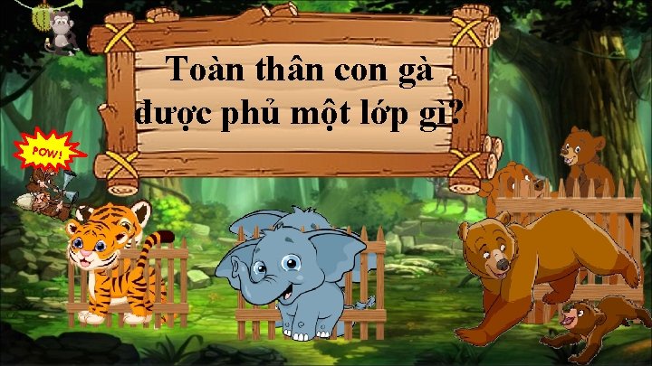 POW! Em hãy kể tên các Toàn Người thân ta nuôi con gà gà