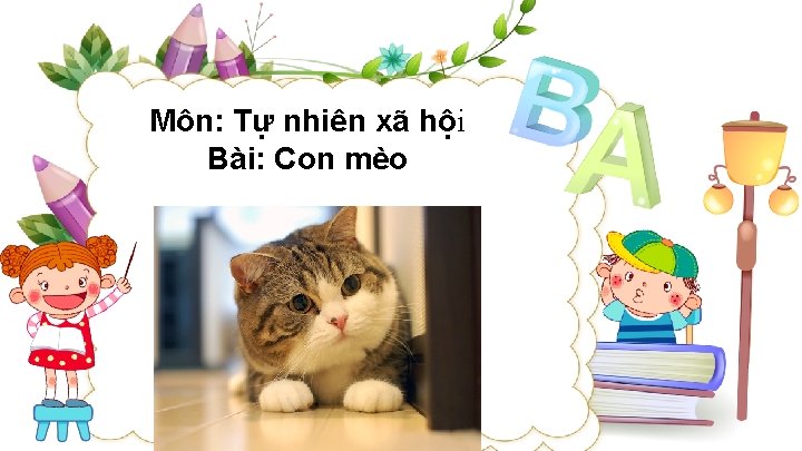 Môn: Tự nhiên xã hội Bài: Con mèo 