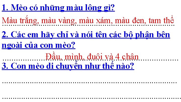 1. Mèo có những màu lông gì? Màu trắng, màu vàng, màu xám, màu