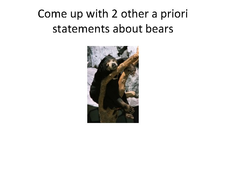Come up with 2 other a priori statements about bears 