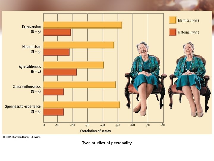 Twin studies of personality 
