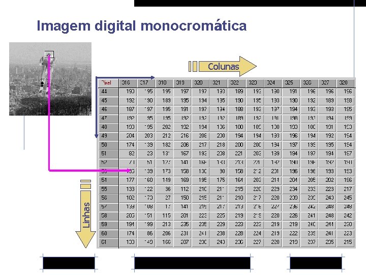 Imagem digital monocromática Linhas Colunas 