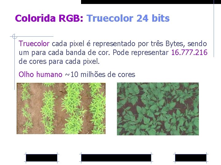 Colorida RGB: Truecolor 24 bits Truecolor cada pixel é representado por três Bytes, sendo
