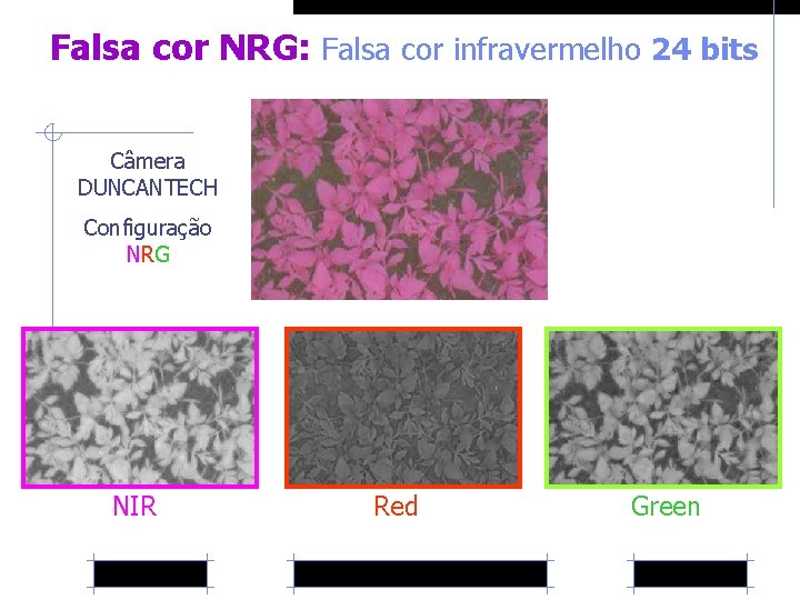 Falsa cor NRG: Falsa cor infravermelho 24 bits Câmera DUNCANTECH Configuração NRG NIR Red
