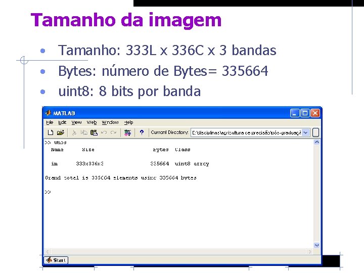 Tamanho da imagem • Tamanho: 333 L x 336 C x 3 bandas •