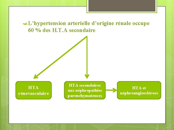  L’hypertension arterielle d’origine rénale occupe 60 % des H. T. A secondaire HTA