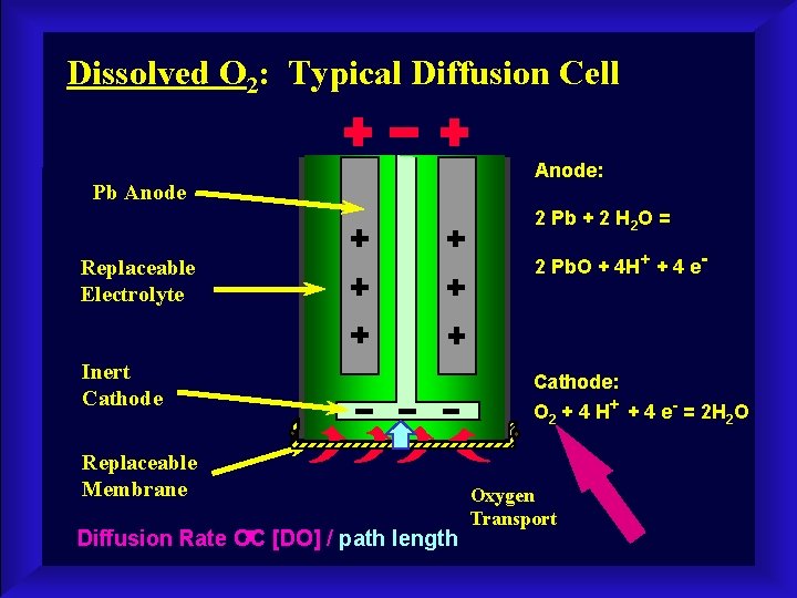 Dissolved O 2: Typical Diffusion Cell Pb Anode: 2 Pb + 2 H 2