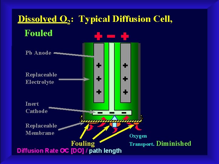 Dissolved O 2: Typical Diffusion Cell, Fouled Pb Anode Replaceable Electrolyte Inert Cathode Replaceable