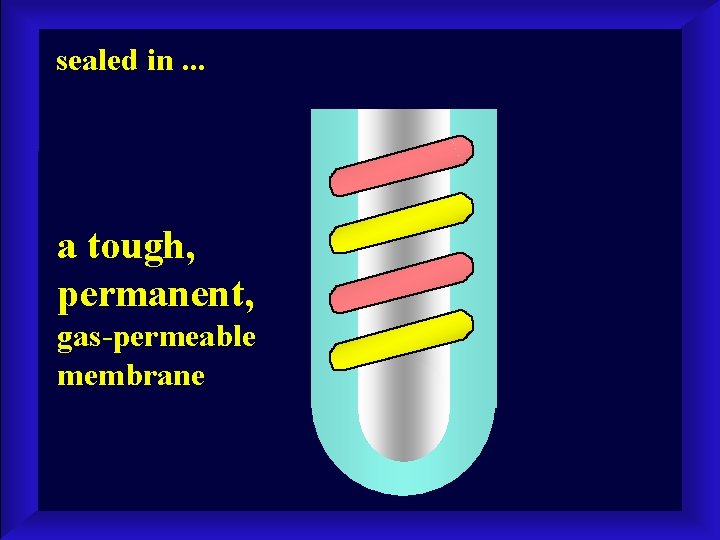 sealed in. . . a tough, permanent, gas-permeable membrane 