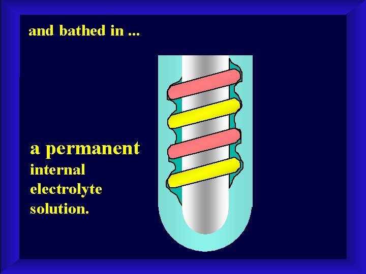 and bathed in. . . a permanent internal electrolyte solution. 