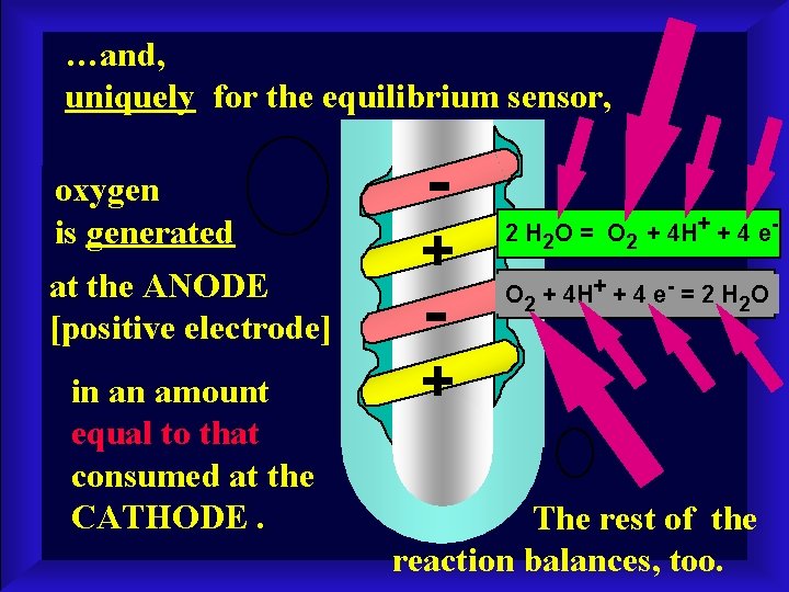 …and, uniquely for the equilibrium sensor, oxygen is generated at the ANODE [positive electrode]