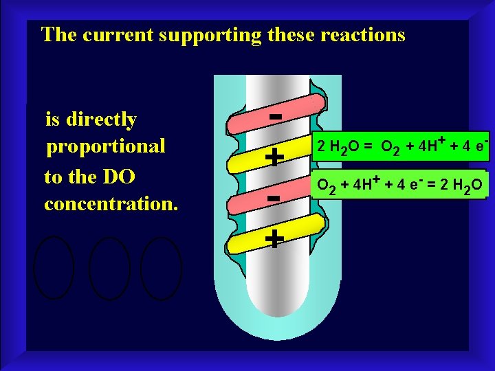 The current supporting these reactions is directly proportional to the DO concentration. - +