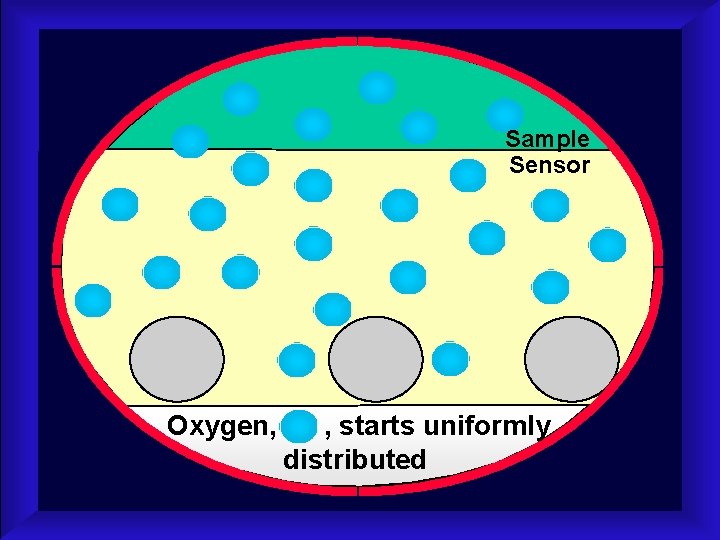 Sample Sensor Oxygen, , starts uniformly distributed 
