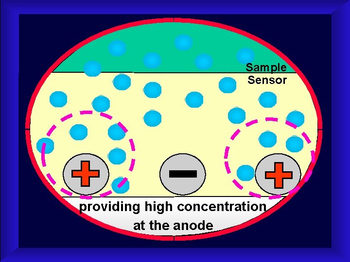 Sample Sensor providing high concentration at the anode 