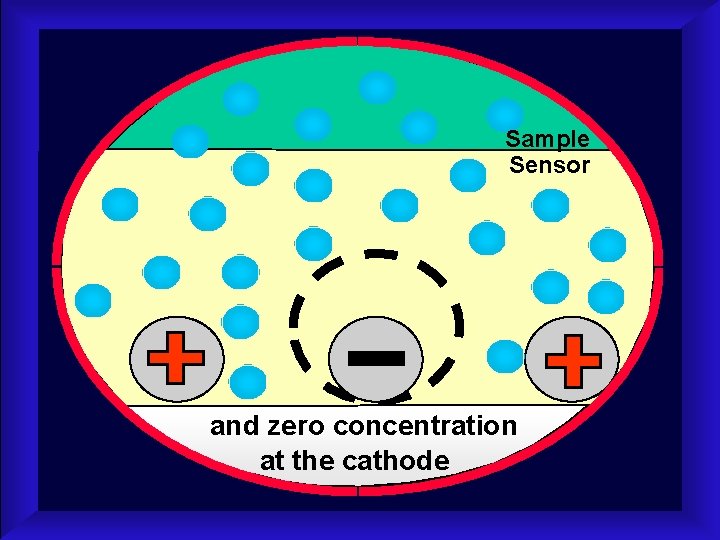 Sample Sensor and zero concentration at the cathode 