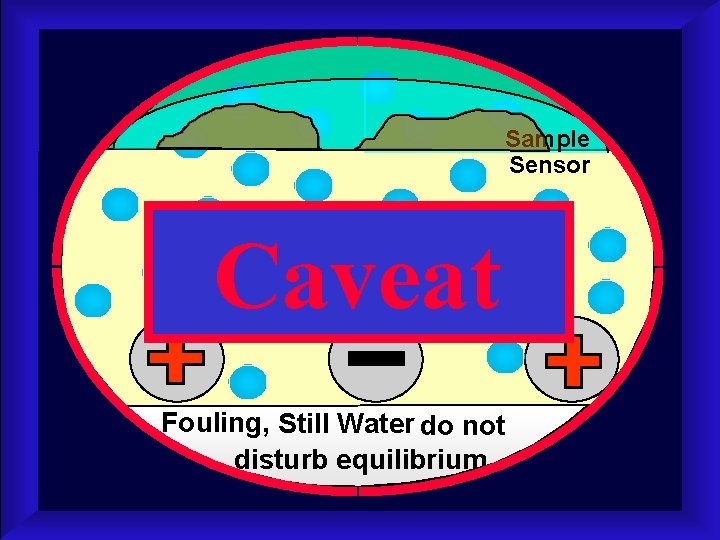 Sample Sensor Caveat Fouling, Still Water do not disturb equilibrium 
