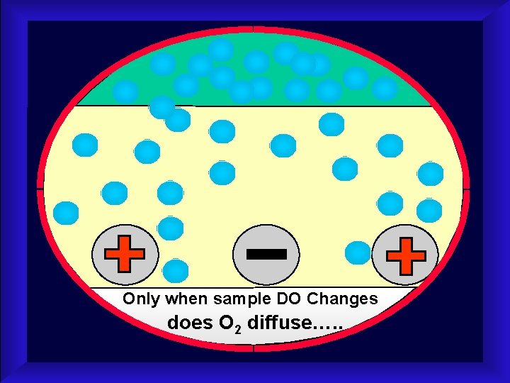 Only when sample DO Changes does O 2 diffuse…. . 