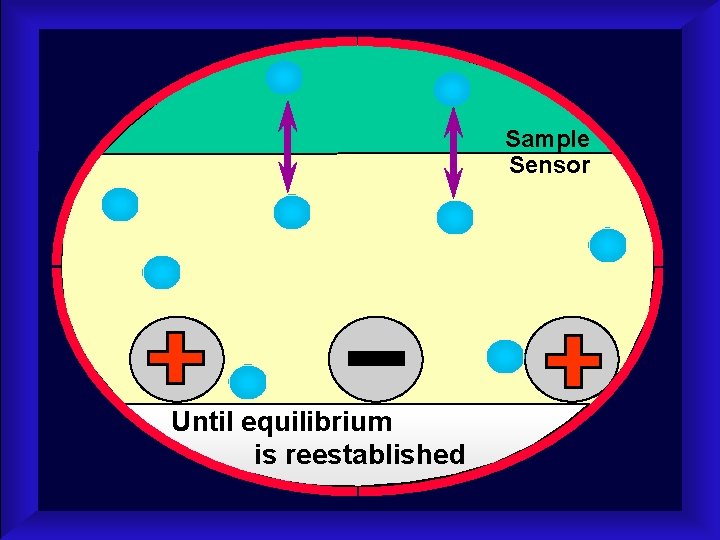 Sample Sensor Until equilibrium is reestablished 