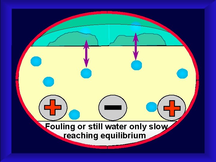 Fouling or still water only slow reaching equilibrium 