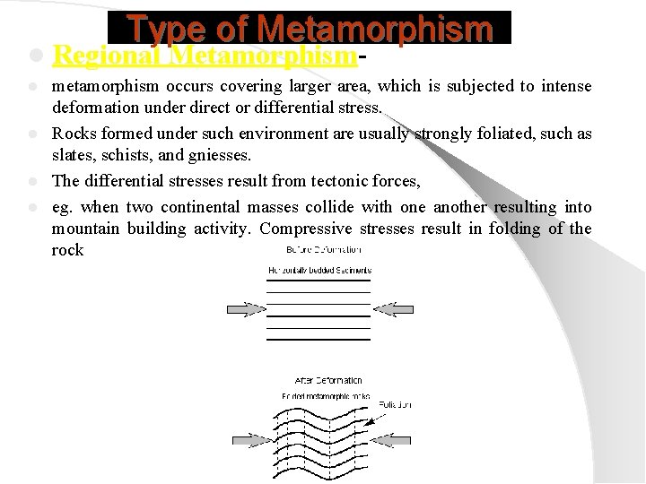Type of Metamorphism l Regional Metamorphism- metamorphism occurs covering larger area, which is subjected