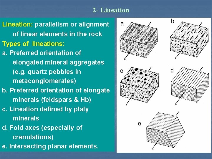 2 - Lineation: parallelism or alignment of linear elements in the rock Types of