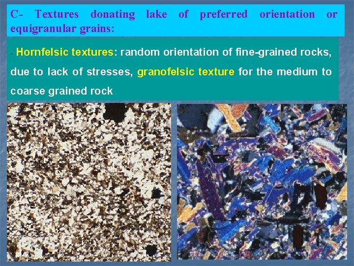 C- Textures donating lake of preferred orientation or equigranular grains: - Hornfelsic textures: random