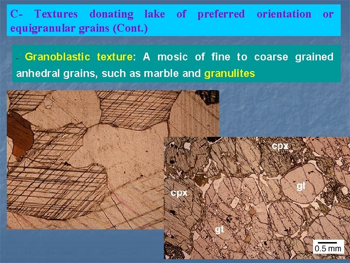 C- Textures donating lake of preferred orientation or equigranular grains (Cont. ) - Granoblastic