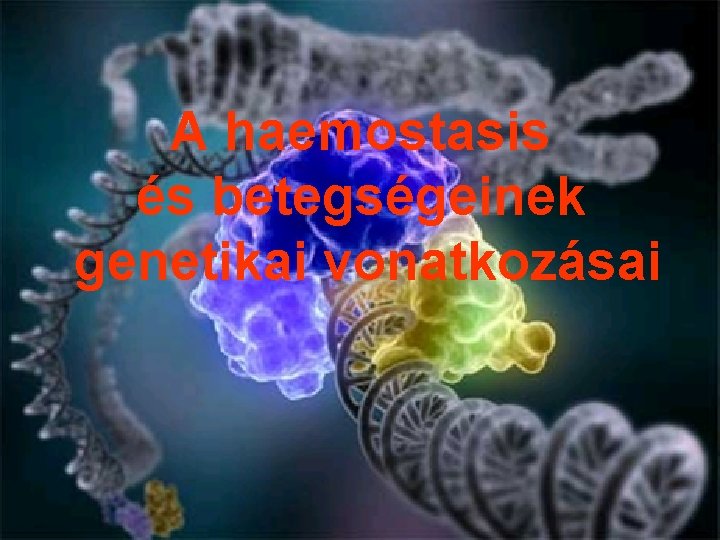 A haemostasis és betegségeinek genetikai vonatkozásai 