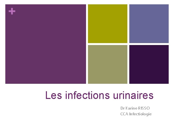 + Les infections urinaires Dr Karine RISSO CCA Infectiologie 