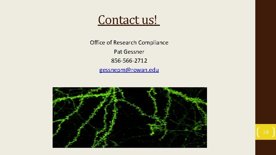 Contact us! Office of Research Compliance Pat Gessner 856 -566 -2712 gessnepm@rowan. edu 28