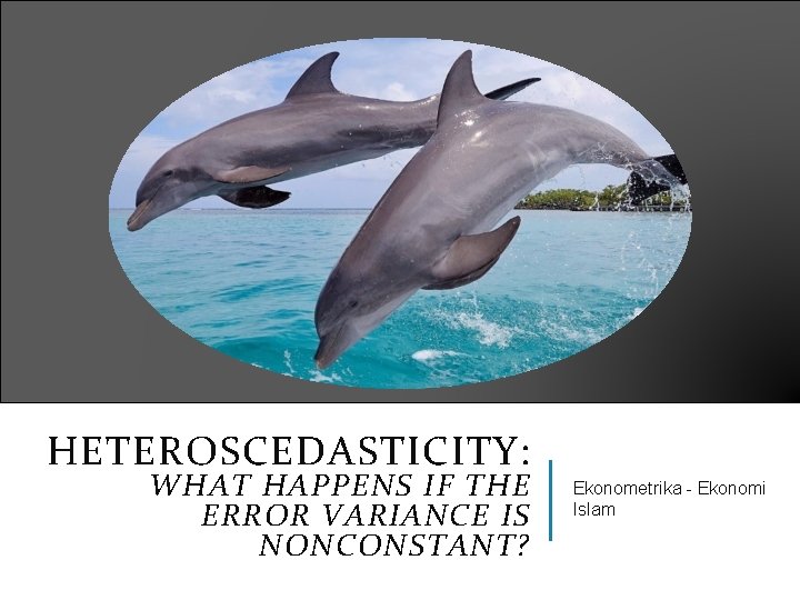 HETEROSCEDASTICITY: WHAT HAPPENS IF THE ERROR VARIANCE IS NONCONSTANT? Ekonometrika - Ekonomi Islam 