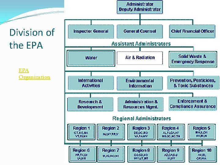 Division of the EPA Organization 