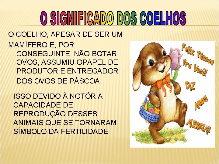O COELHO, APESAR DE SER UM MAMÍFERO E, POR CONSEGUINTE, NÃO BOTAR OVOS, ASSUMIU
