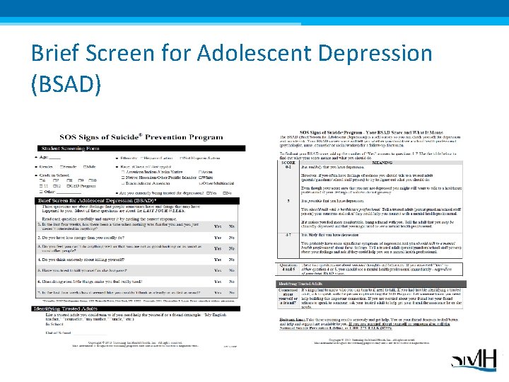 Brief Screen for Adolescent Depression (BSAD) 