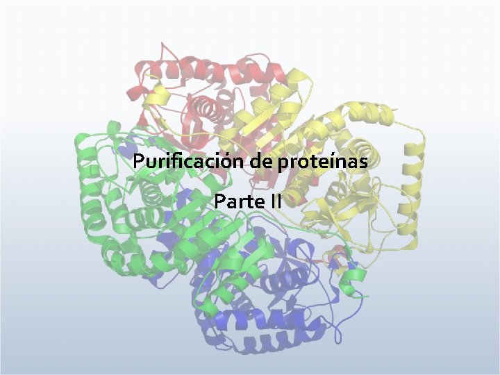 Purificación de proteínas Parte II 