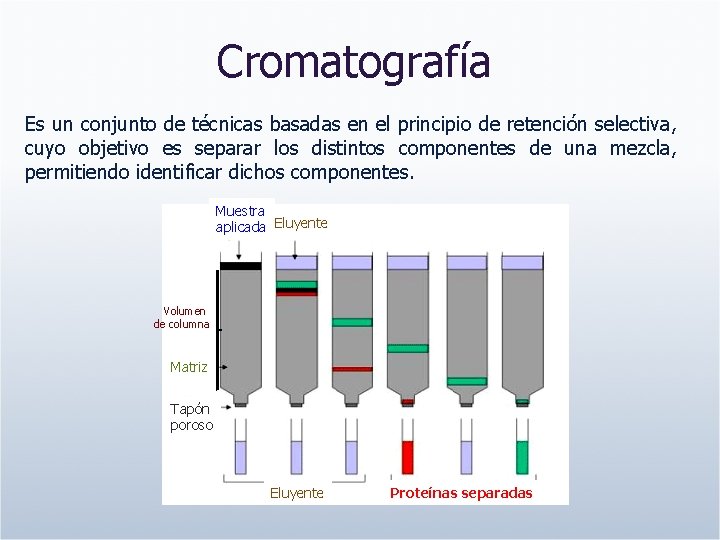 Cromatografía Es un conjunto de técnicas basadas en el principio de retención selectiva, cuyo