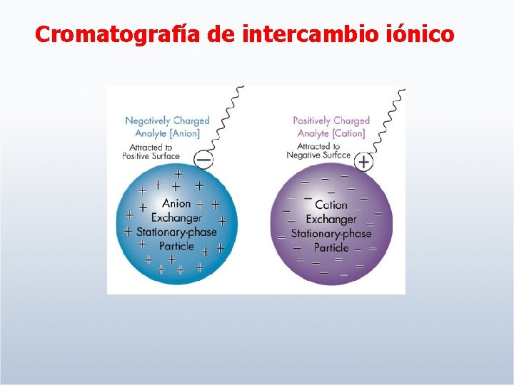 Cromatografía de intercambio iónico 