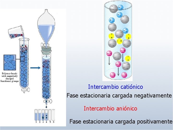 Intercambio catiónico Fase estacionaria cargada negativamente Intercambio aniónico Fase estacionaria cargada positivamente 