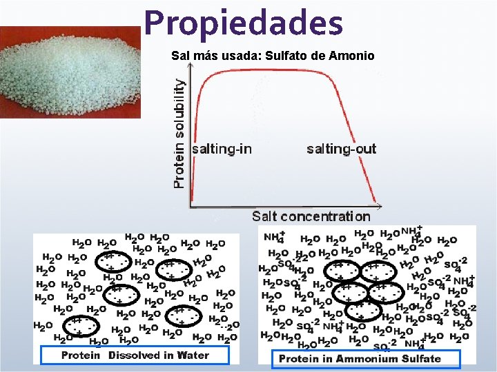 Propiedades Sal más usada: Sulfato de Amonio 