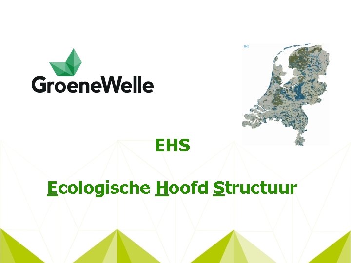 EHS Ecologische Hoofd Structuur 