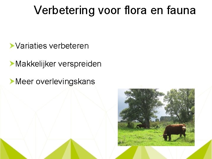 Verbetering voor flora en fauna Variaties verbeteren Makkelijker verspreiden Meer overlevingskans 