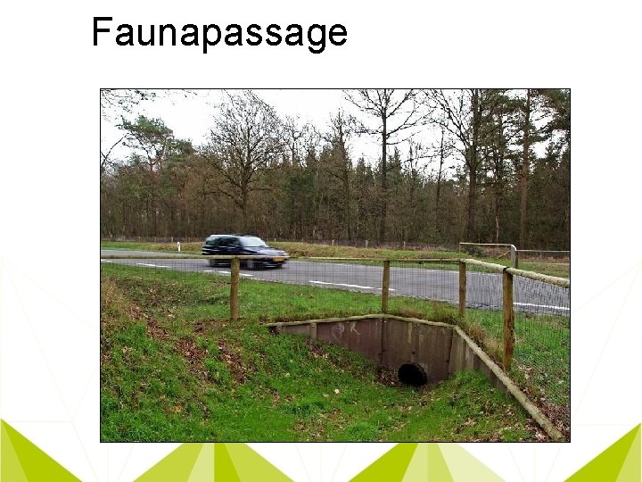 Faunapassage 