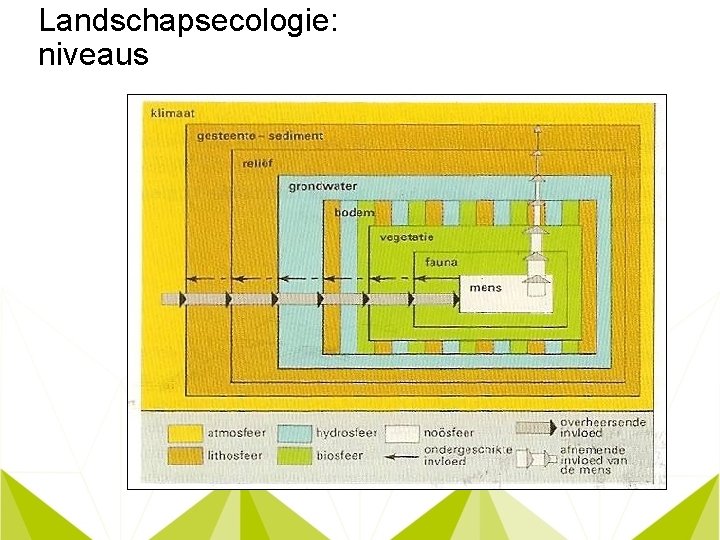 Landschapsecologie: niveaus 