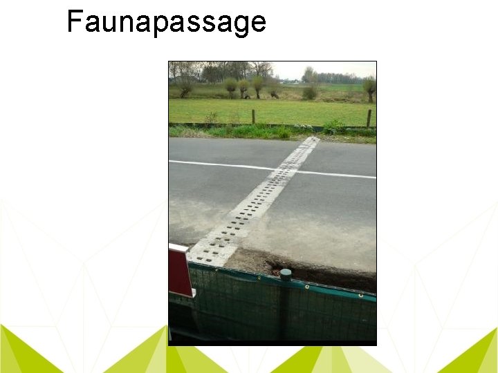 Faunapassage 
