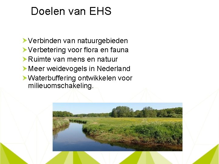 Doelen van EHS Verbinden van natuurgebieden Verbetering voor flora en fauna Ruimte van mens