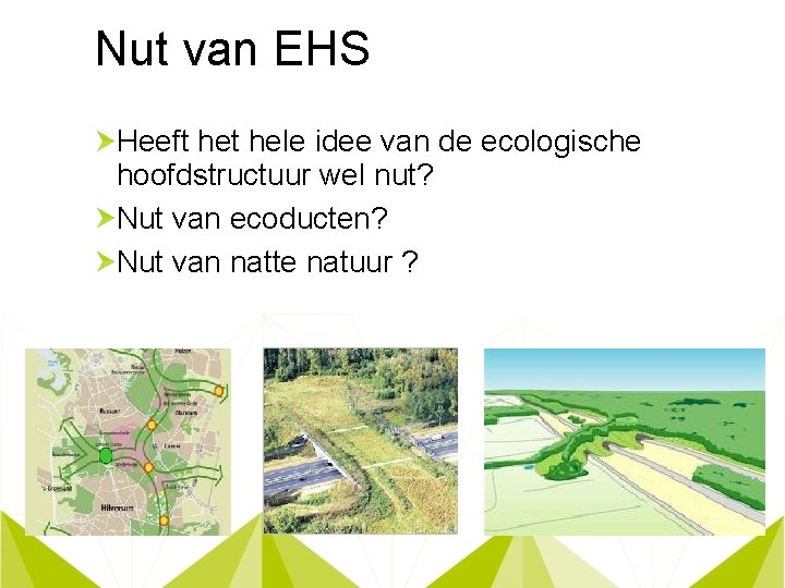 Nut van EHS Heeft hele idee van de ecologische hoofdstructuur wel nut? Nut van