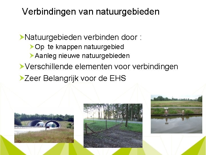 Verbindingen van natuurgebieden Natuurgebieden verbinden door : Op te knappen natuurgebied Aanleg nieuwe natuurgebieden