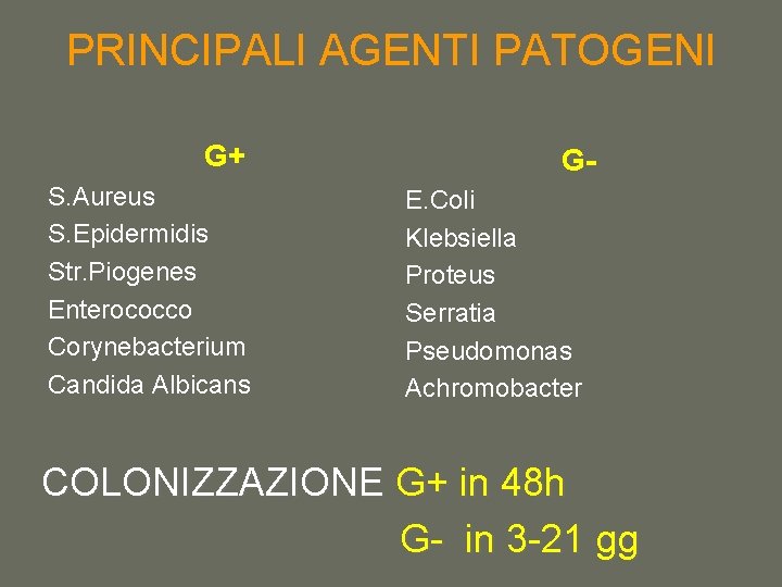 PRINCIPALI AGENTI PATOGENI G+ S. Aureus S. Epidermidis Str. Piogenes Enterococco Corynebacterium Candida Albicans