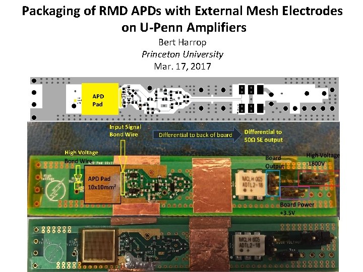 Packaging of RMD APDs with External Mesh Electrodes on U-Penn Amplifiers Bert Harrop Princeton