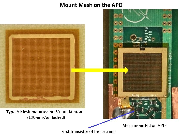 Mount Mesh on the APD Type A Mesh mounted on 50 - m Kapton